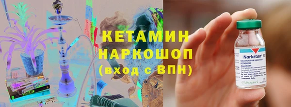 гашик Алексин