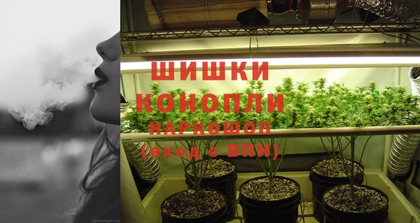 ПСИЛОЦИБИНОВЫЕ ГРИБЫ Алзамай