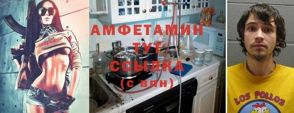прущие грибы Аркадак