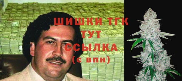 гашик Алексин